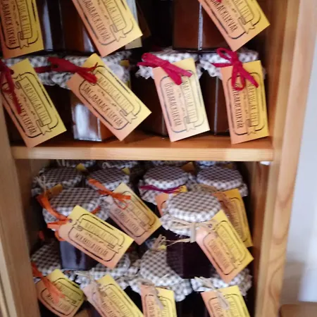 بيت ضيافة Napsugar Vendeghaz 3*
