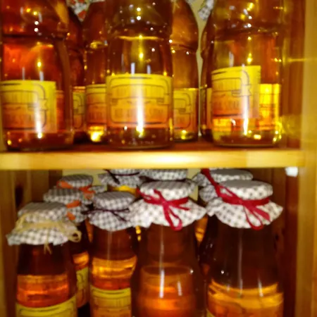 Napsugar Vendeghaz بيت ضيافة 3*