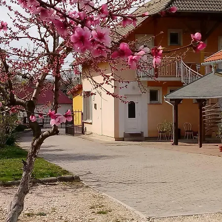 Napsugar Vendeghaz Pensionat