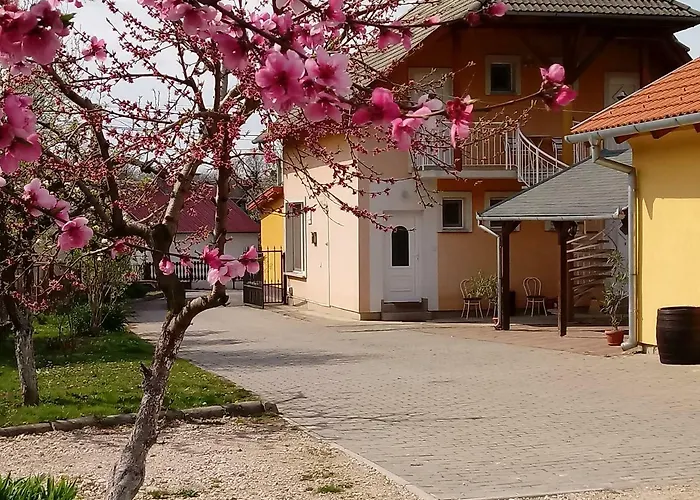Napsugar Vendeghaz Pensionat