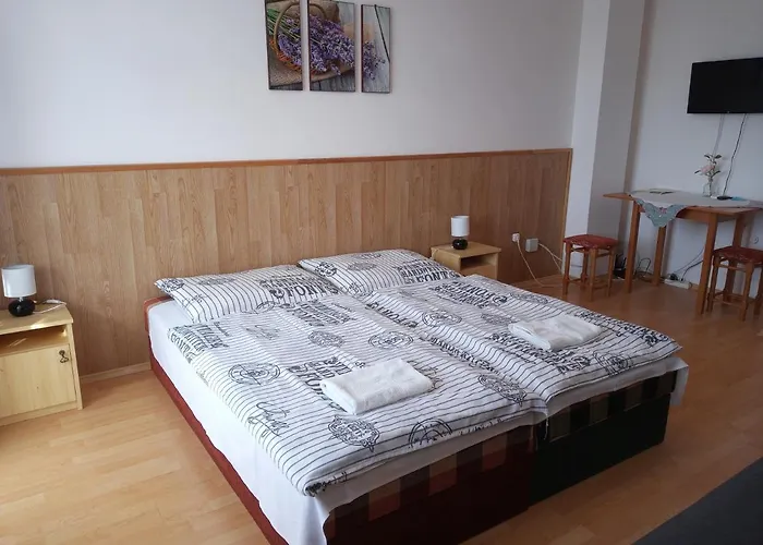 Pensionat Napsugar Vendeghaz 3*